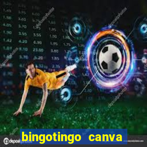 bingotingo canva pro gratis